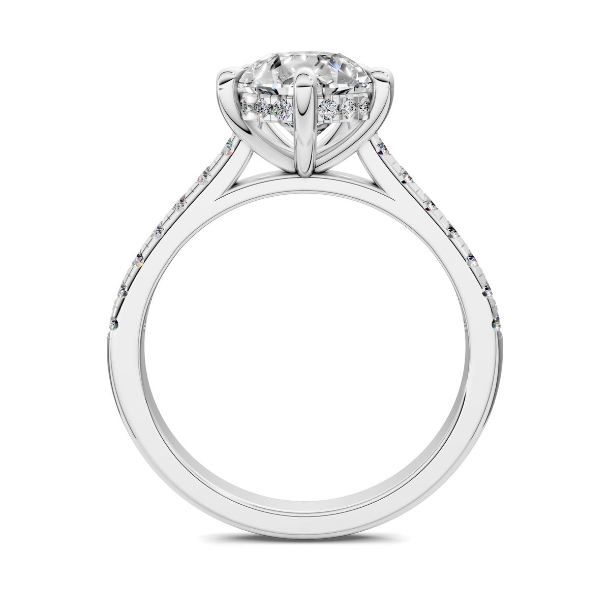 Hollie Hidden Halo Cathedral Pavé Ring