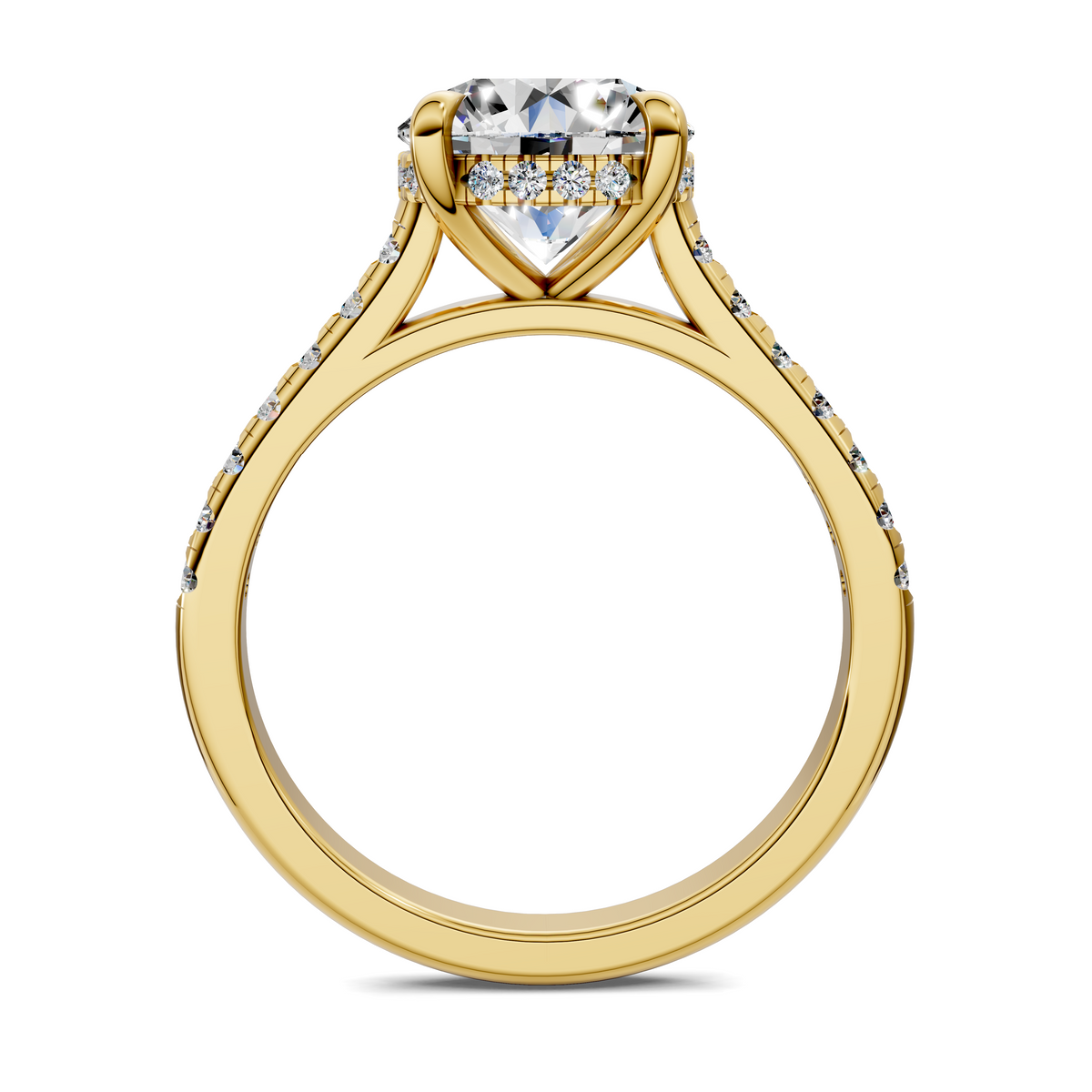 Hollie Hidden Halo Cathedral Pavé Ring