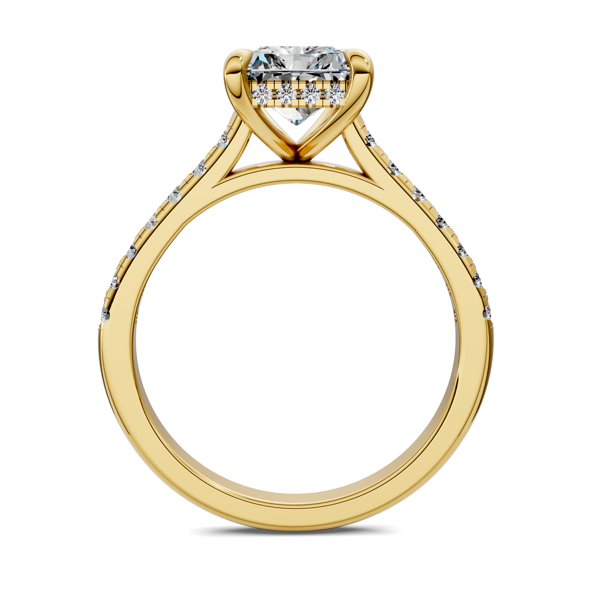 Hollie Hidden Halo Cathedral Pavé Ring