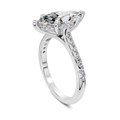 Hollie Hidden Halo Cathedral Pavé Ring