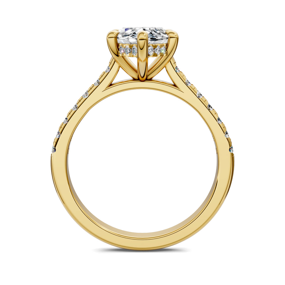 Hollie Hidden Halo Cathedral Pavé Ring