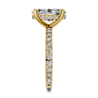 Priscilla Hidden Halo And Pave Ring