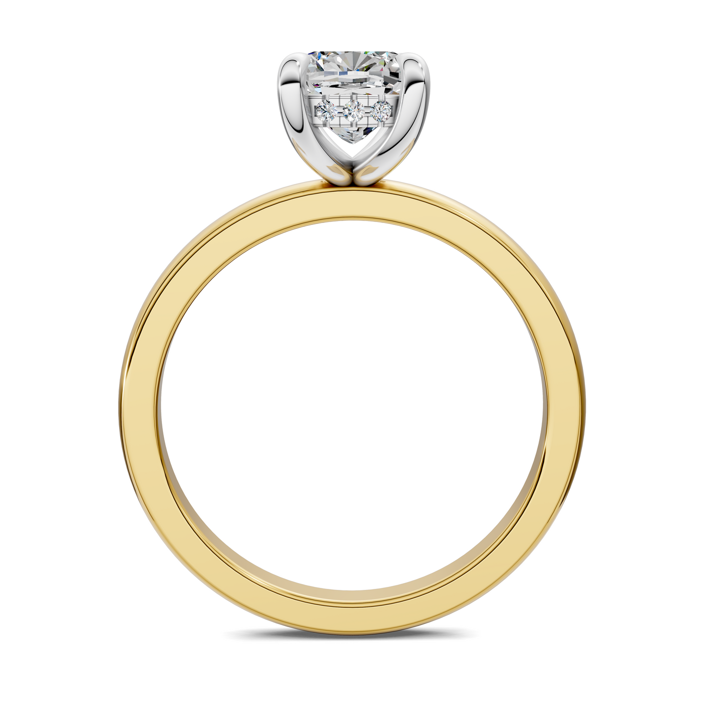 Sophia Mixed Metal Ring