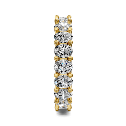 Arely Oval Eternity Ring